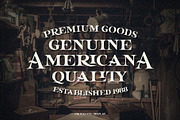 Propagate - Vintage Serif, a Sans Serif Font by Graptail (Thumbnail 8 of 12)