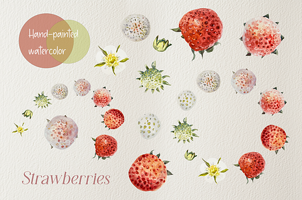 Strawberry Life Cycle Watercolor Set