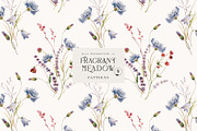 Fragrant Meadow - watercolor flowers, a Decorative Illustration by Pamyatka Shop (Thumbnail 11 of 13)
