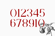 Faradize - Elegant Serif Font, a Serif Font by RockboyStd (Thumbnail 11 of 12)