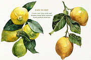 Watercolor Juicy Hand-Painted Lemons, an Object Graphic by Artcard Watercolor (Thumbnail 6 of 9)