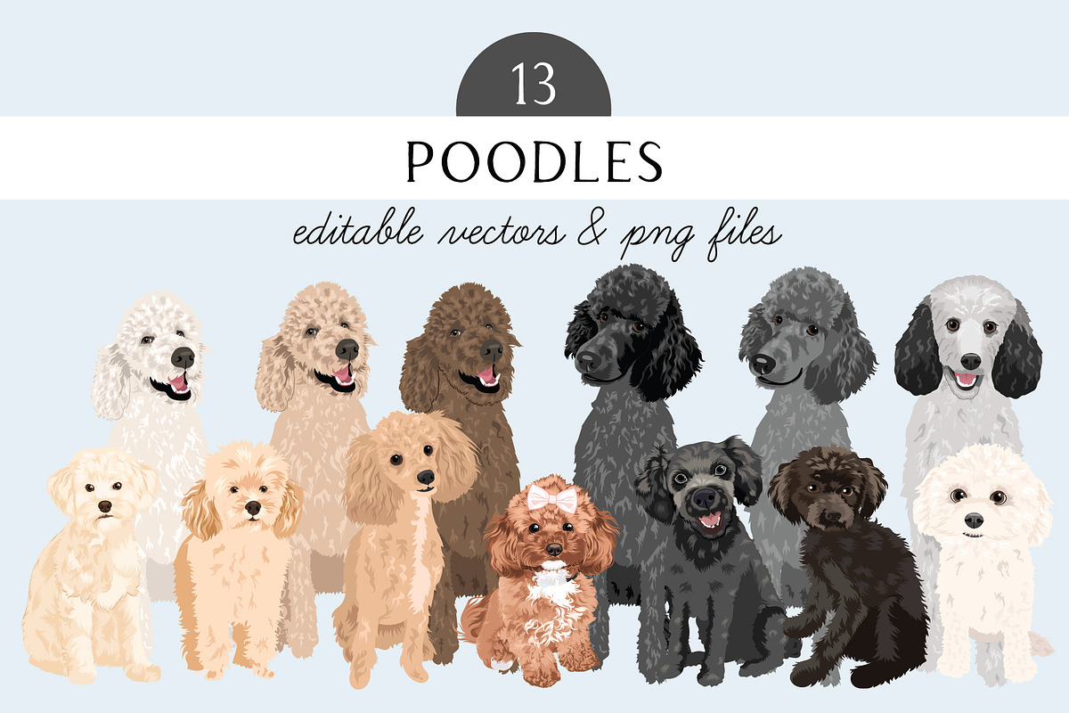 Poodle Clip Art Vector Bundle, an Illustration by Putnam Road Art (Photo 1 of 4)