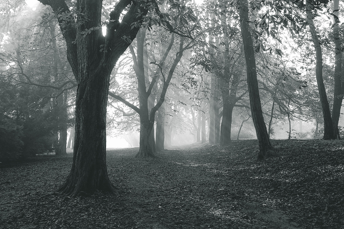 10 Matte B & W Landscape Drama, a Preset Add-On by Timeless Presets (Photo 15 of 17)