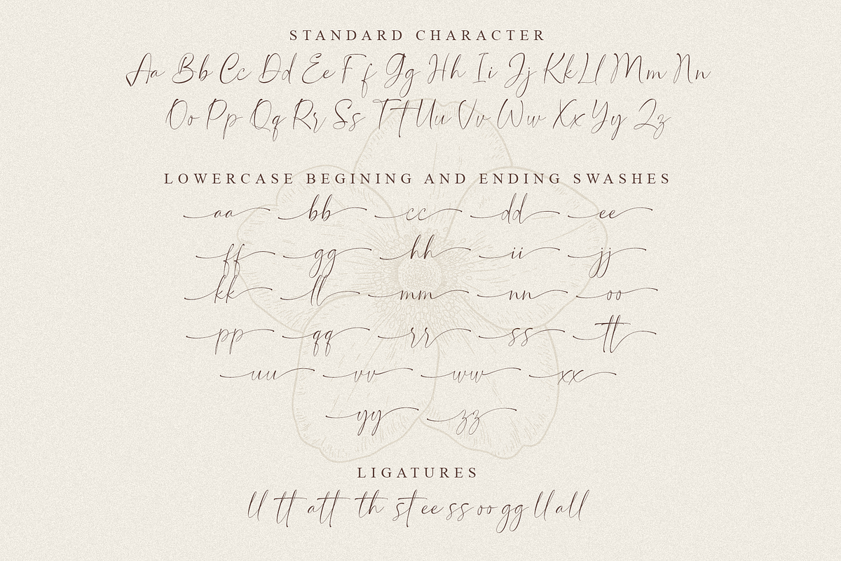 Sophia Morgant - Casual Handwritten, a Script Font by MJB Letters (Photo 15 of 15)