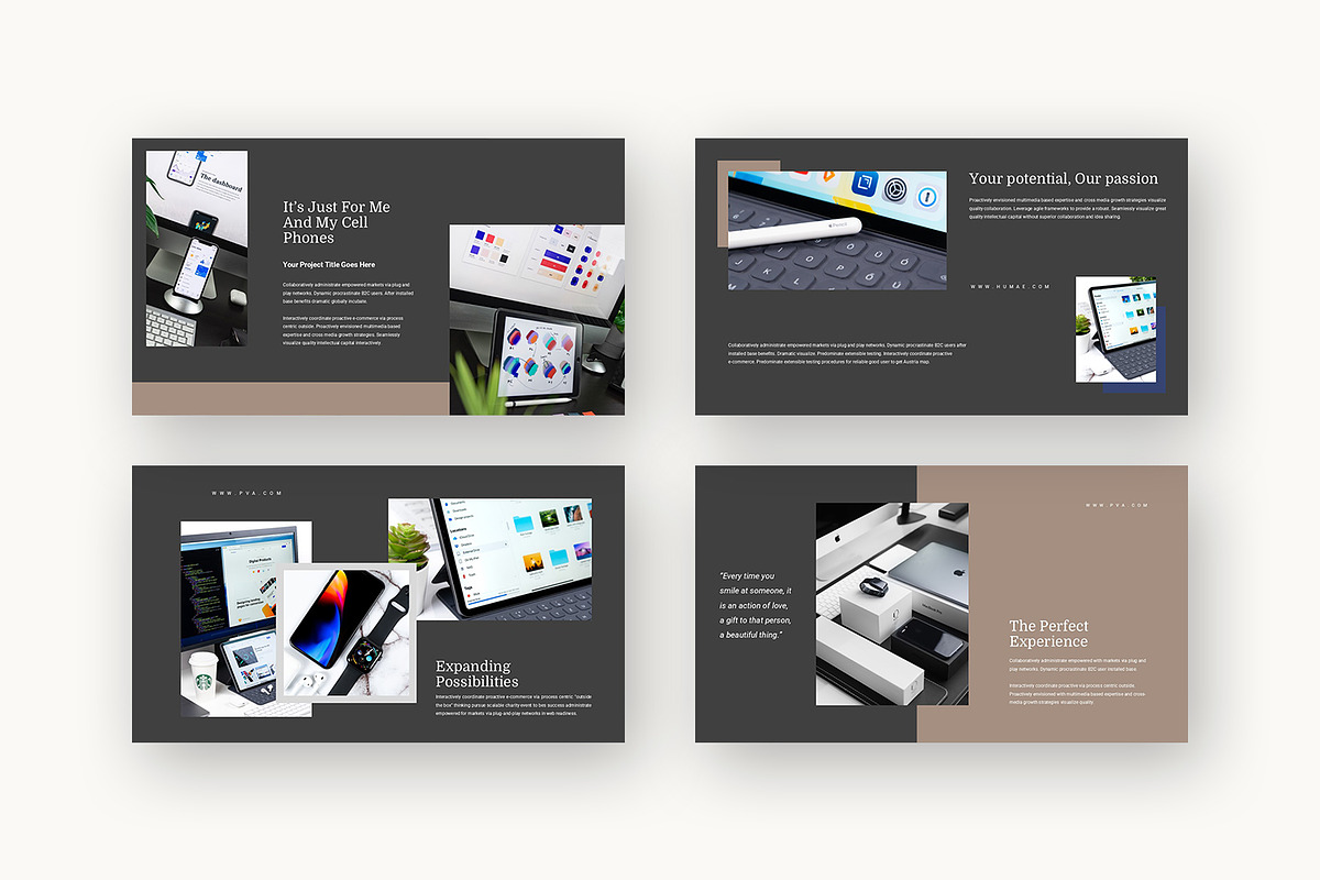 Pva : App Biz Promo Powerpoint, a Presentation Template by Punkl Camp (Photo 14 of 16)