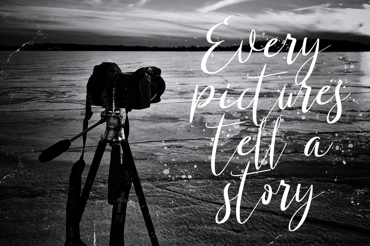 Shanti Creny - Modern Script Font, a Script Font by StringLabs (Photo 7 of 12)
