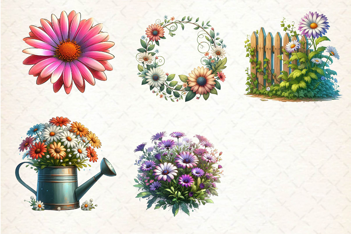 African Daisy Flower Bloom Clipart, an Illustration by Dream Creation (Photo 5 of 5)