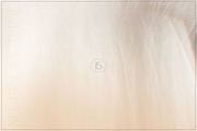 Neutral & Natural | 15 Dreamy Photos, an Abstract Photo by Melanie Helena (Thumbnail 16 of 16)