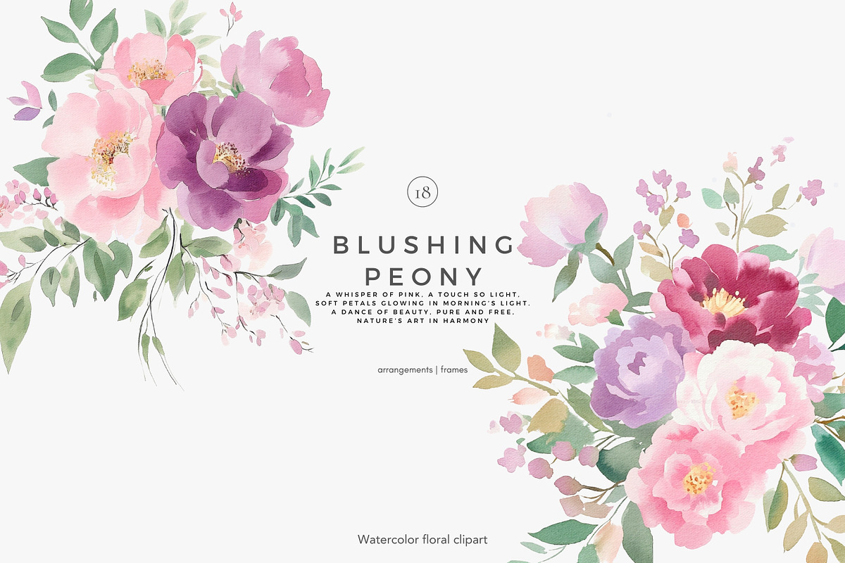 floral clipart watercolor peonies, a Decorative Illustration by Patishop Art (Photo 5 of 10)
