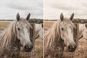 4 Vintage Warm Lightroom Presets, a Preset Add-On by Presets by Yevhen (Thumbnail 10 of 11)