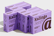 Kalinga | 91 Style Font, a Serif Font by Bosstype Studio (Thumbnail 13 of 15)