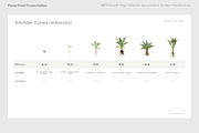 BBCH Growth Stages, Leafy & Herbs, a Presentation Template by Ilia Design (Thumbnail 4 of 9)