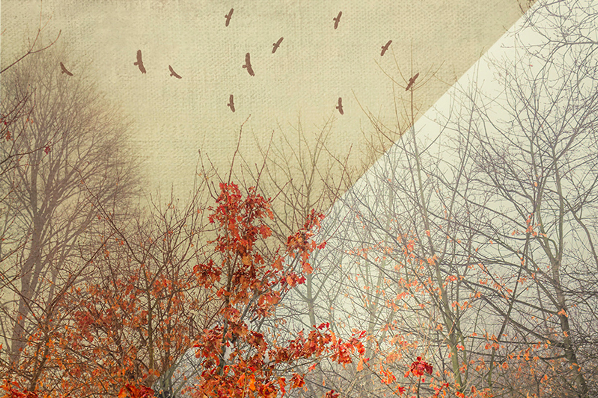 20 fineart Canvas Textures, a Texture Graphic by dyrkwyst textures (Photo 3 of 4)
