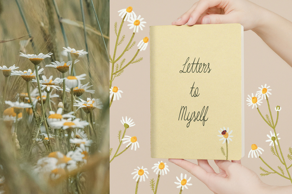Matricaria Chamomilla Script, a Script Font by Jelena Sardi (Photo 5 of 6)