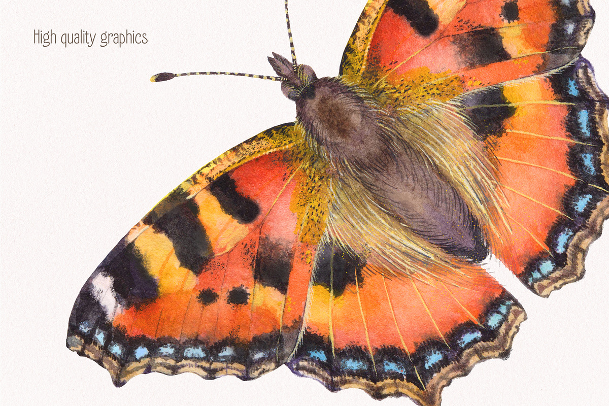 Watercolor butterflies, an Illustration by Green_leaf_17 (Photo 6 of 6)