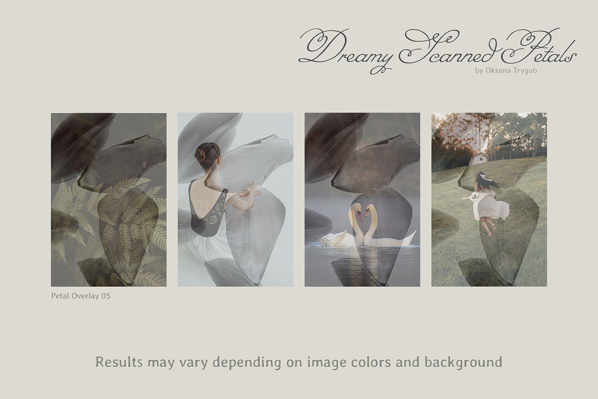 Flower Petal Textures & Foil Overlay, a Texture Graphic by Oksana Trygub (Photo 27 of 28)
