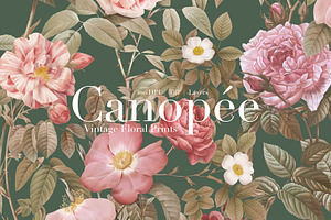 Canopée Botanical Floral Prints, a Pattern Graphic by LEAFure