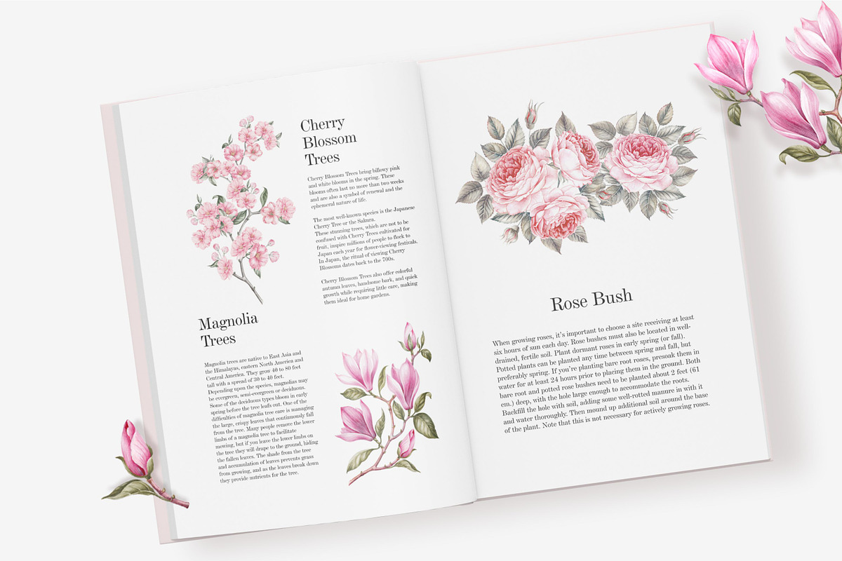 Blooming Paris. Motifs,Frame,pattern, an Illustration by Kotkoa (Photo 7 of 21)