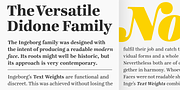 Ingeborg, a Serif Font by Typejockeys (Thumbnail 2 of 5)