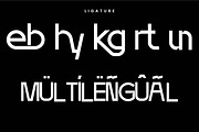 Nebro – Sans Serif Font, a Sans Serif Font by kangfont Studio (Thumbnail 6 of 10)
