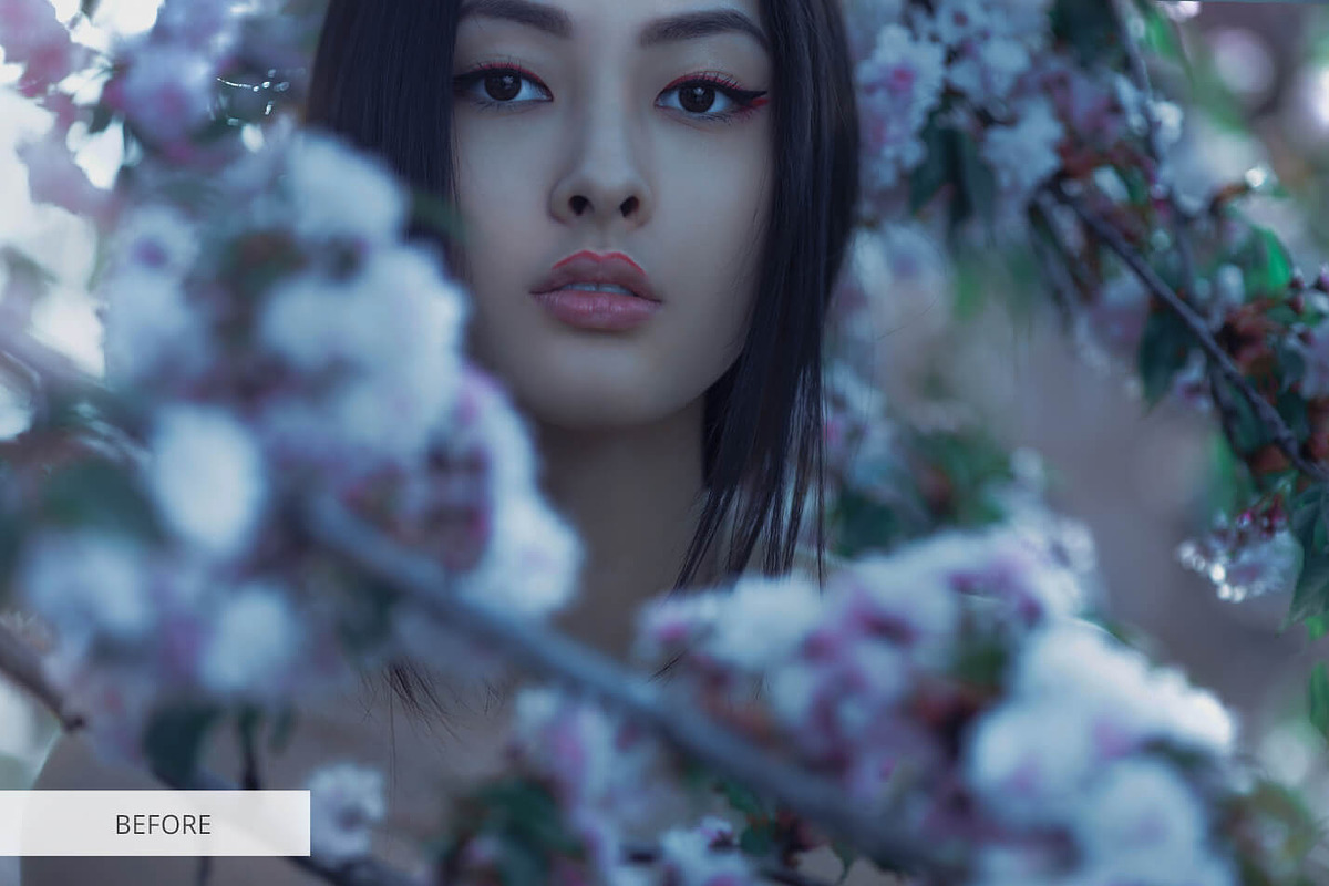 Affinity Photo Presets, a Plug-in Add-On by FixThePhoto (Photo 21 of 31)