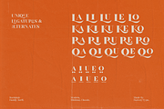 Rockdale, a Serif Font by FactoryType Studio (Thumbnail 6 of 10)