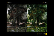 35mm Film – Actions & Presets, a Preset Add-On by Hydrozi Presets (Thumbnail 11 of 12)