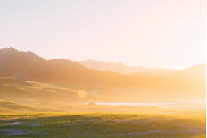 This Arkansas image captures the, a Nature Photo by ZinetroN