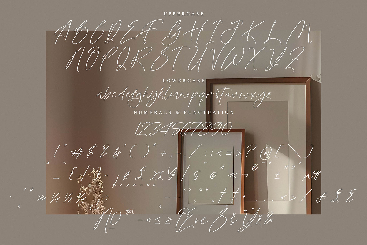 Butterfly Friends, a Script Font by operatype.co (Photo 13 of 15)