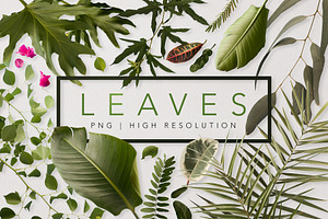 Real Leaves - Green Cutout Leaf