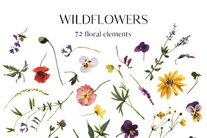 Wild Flowers Fall Summer Clipart