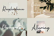 Modern Script Font Bundle, a Script Font by Flawless And Co (Thumbnail 3 of 11)