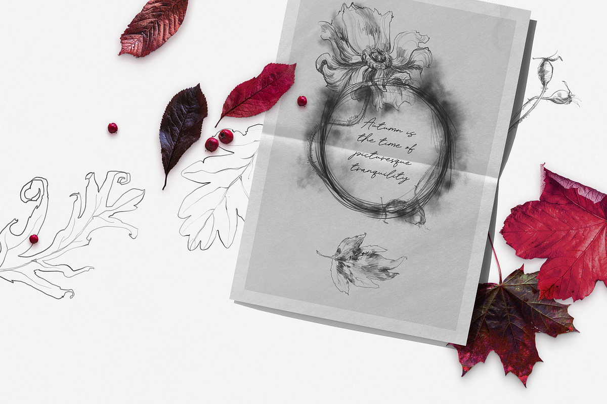 Folios. Botanical illustrations, an Object Illustration by Colden Blue (Photo 2 of 13)