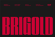 Brigold - Tall Font, a Sans Serif Font by suhadidesign (Thumbnail 1 of 11)
