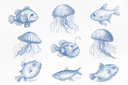 Vintage Marine Life Illustration Set, an Animal Illustration by NatalieArtShop (Thumbnail 2 of 20)