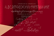 Briliant Diamond, a Script Font by operatype.co (Thumbnail 13 of 15)