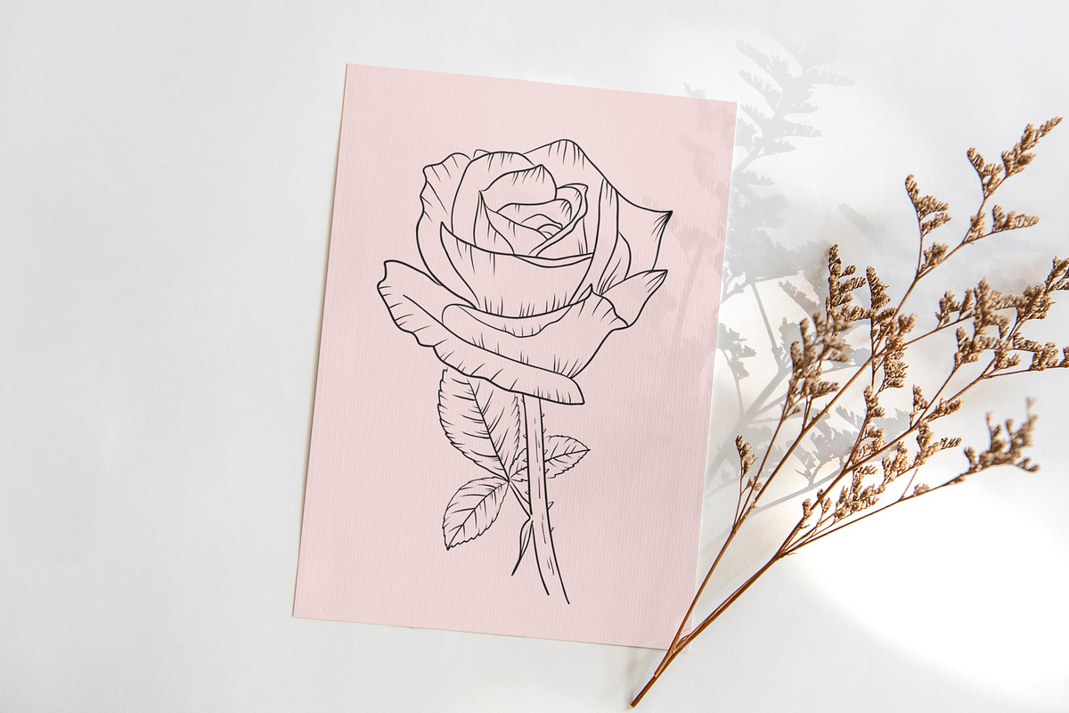 Roses flowers lineart clipart., a Graphic by svetodesign (Photo 4 of 5)