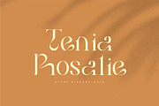 Bilea - Unique Brilliant Font, a Serif Font by suhadidesign (Thumbnail 3 of 14)