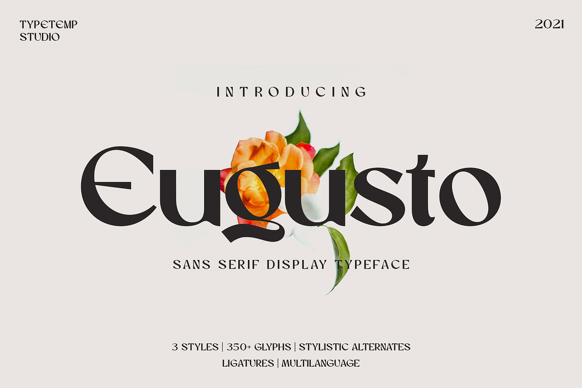 Eugusto Display Typeface, a Sans Serif Font by Typetemp Studio (Photo 26 of 26)