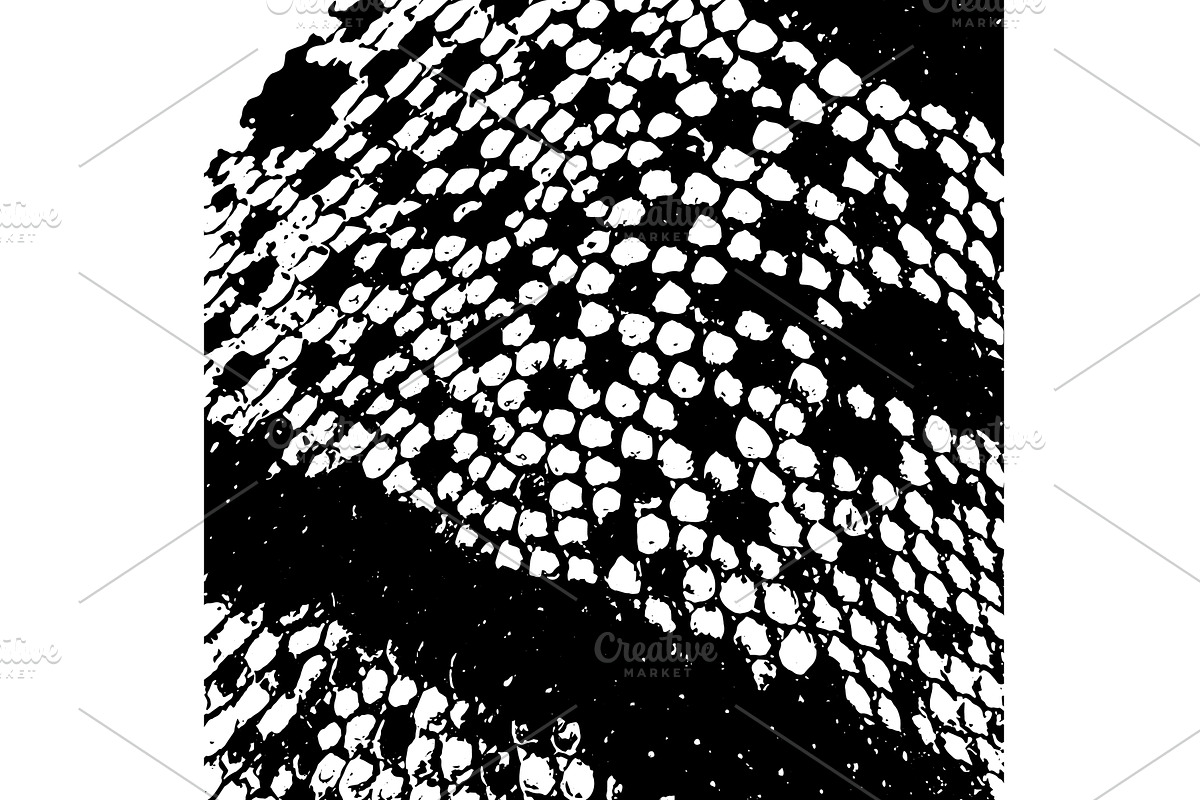 Snake skin monochrome background, an Illustration by Nenahliadava Design