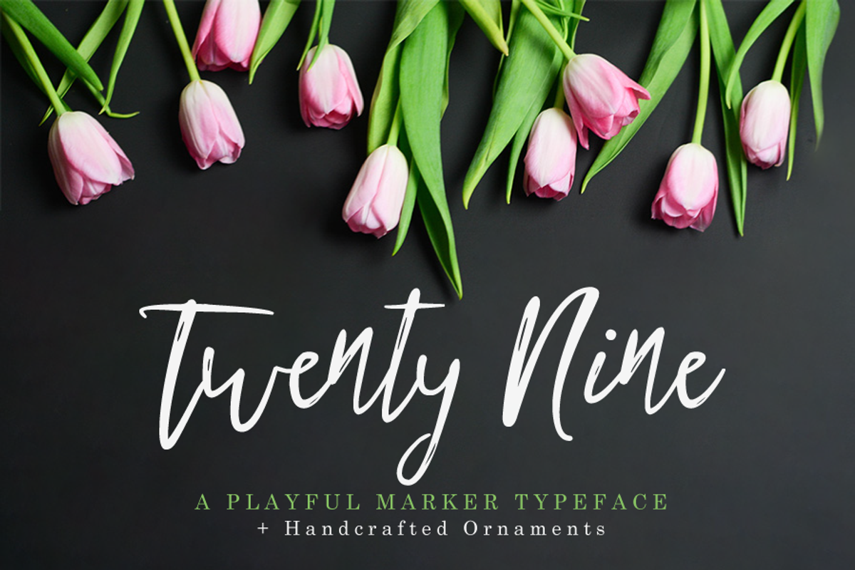 Twenty Nine Font + Bonus