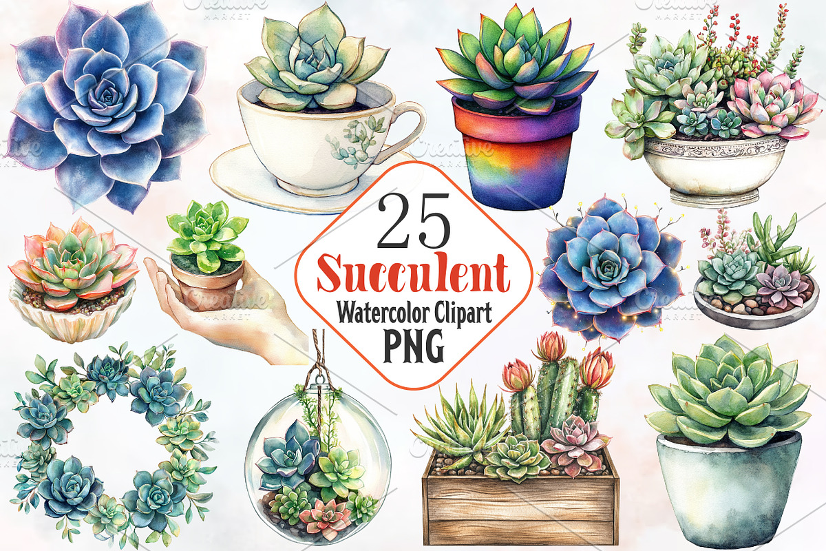 Succulent Watercolor Cliparts, an Illustration by RobertsArt (Photo 1 of 7)