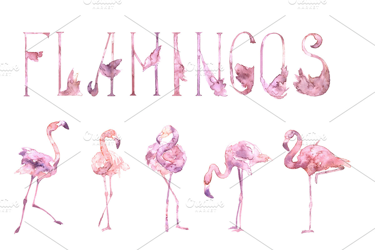 -20% Tender Flamingo Alphabet, an Illustration by Cat In Colour (Photo 8 of 10)