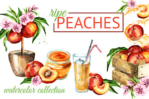 Peaches. Watercolor Collection