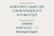 Porte Bon Heur - A Handwritten Font, a Handwritten Font by HanzelSpace Studio (Thumbnail 8 of 9)