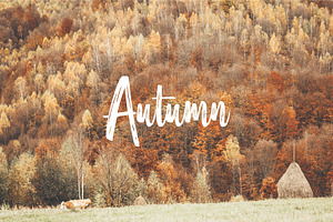 Autumn  with colorful forest