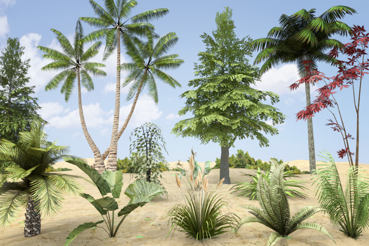 Plants Grass and Trees Pack, an Object 3D Model by RivermillStudios (Photo 1 of 5)
