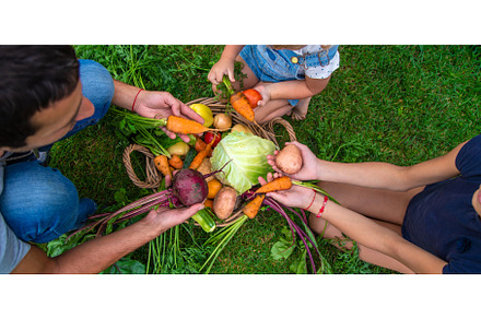 A family harvests vegetables in the, a Person Photo by yanadjana
