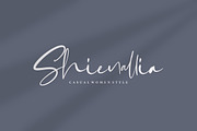 Gabrialle - Casual Script Font, a Script Font by StringLabs (Thumbnail 7 of 8)