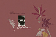 Oshibana Dried & Pressed Fall Leaves, an Object Graphic by Lana Elanor (Thumbnail 3 of 17)